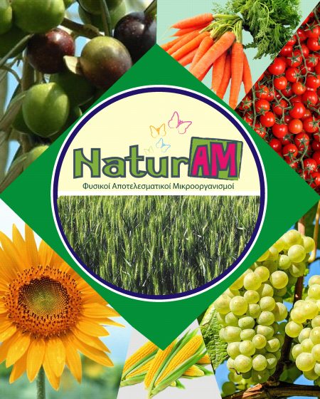 Με την δύναμη της φύσης μπορείς να κάνεις πιο παραγωγικό το έδαφος που καλλιεργείς, περιορίζοντας τα χημικά λιπάσματα και φυτοφάρμακα!!! Η τεχνολογία των ΕΜ είναι η μεγαλύτερη ανακάλυψη στον τομέα της γεωργίας και εφαρμόζεται σε όλες τις Ηπείρους με θαυμαστά αποτελέσματα.